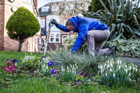 Gardening Activities